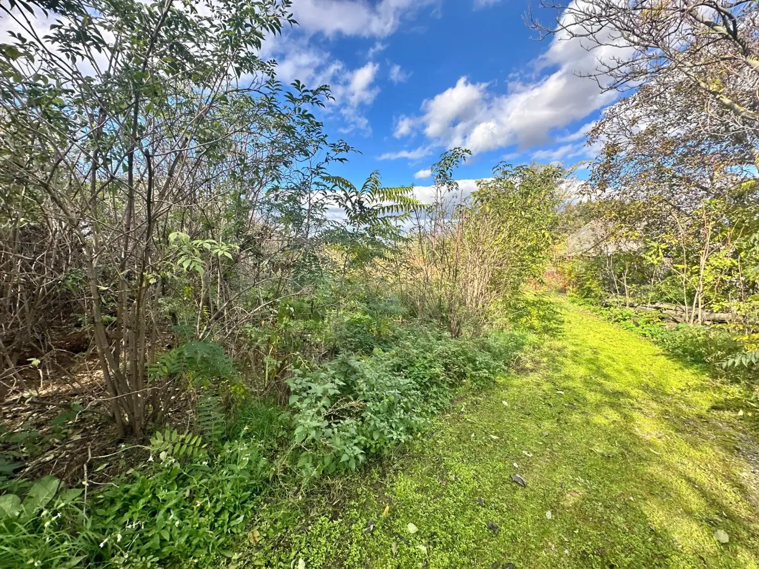 Reiterparadies im Weinviertel – Ihr Traum vom Landleben!