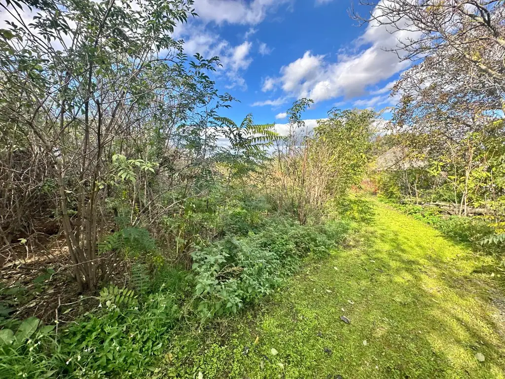 Reiterparadies im Weinviertel – Ihr Traum vom Landleben!