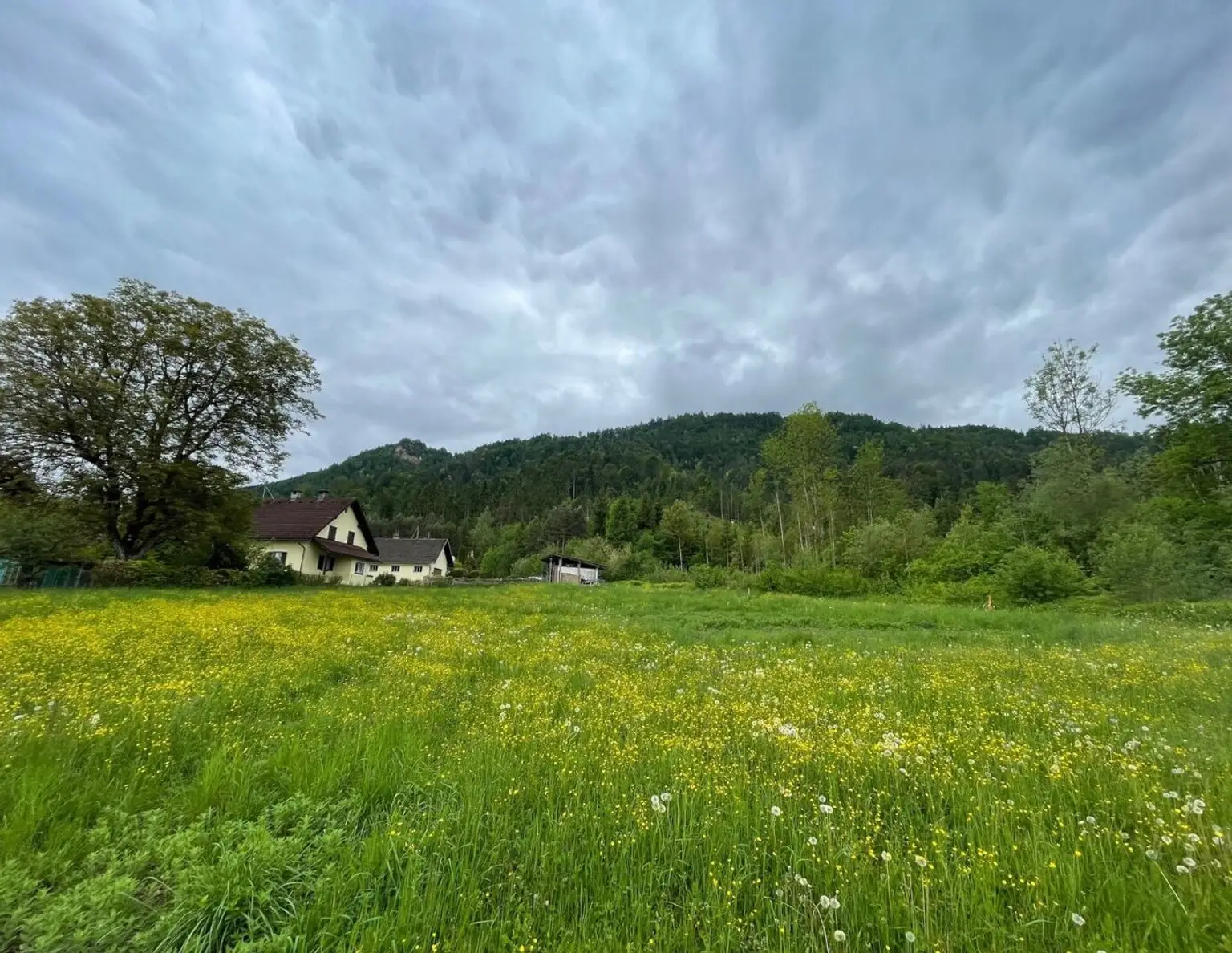 Ruhiges Landleben - Waldrand - Nähe Ferlach und Klagenfurt!