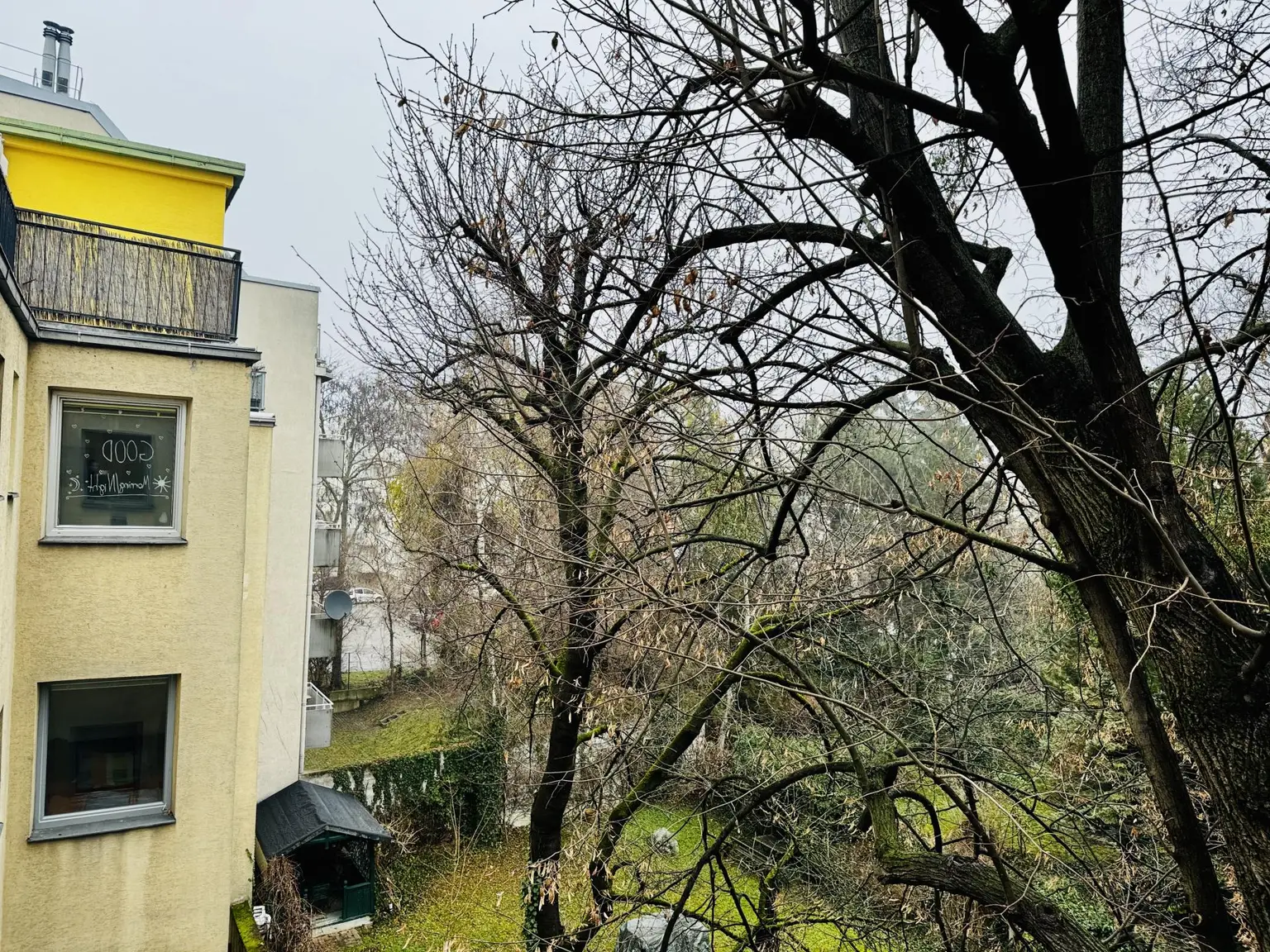 Gartenblick Wohnküche