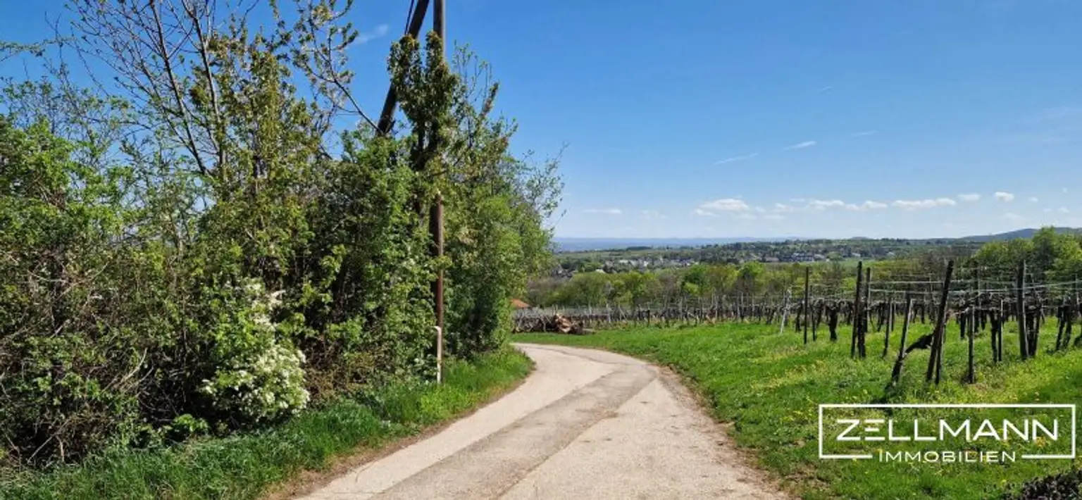 Seltene Gelegenheit: Winzerhaus auf uneinsehbarem Grundstück | ZELLMANN IMMOBILIEN