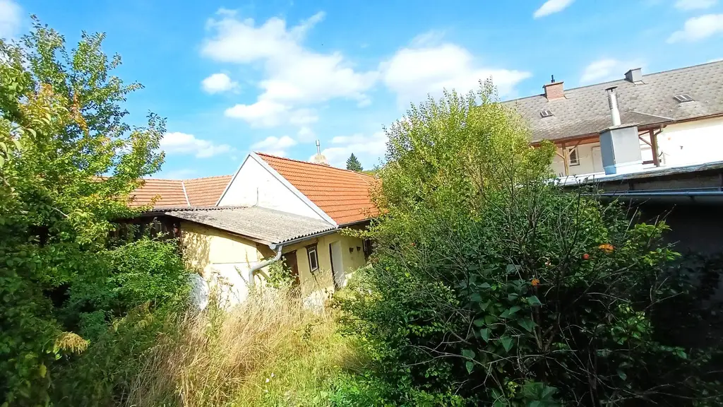 burgenländischer Streckhof - Baugrund mit Altbestand, Abriss o. Sanierung