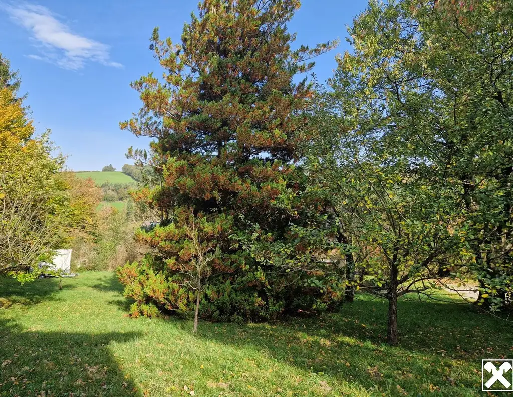 BAUEN UND WOHNEN MIT AUS- UND FERNBLICK IN AUSGEZEICHNETER, RUHIGER WOHNLAGE MIT ALTBESTAND, BESTER BAUTRÄGEREIGNUNG IM NAHBEREICH VON WIEN MITTEN IM WIENERWALD