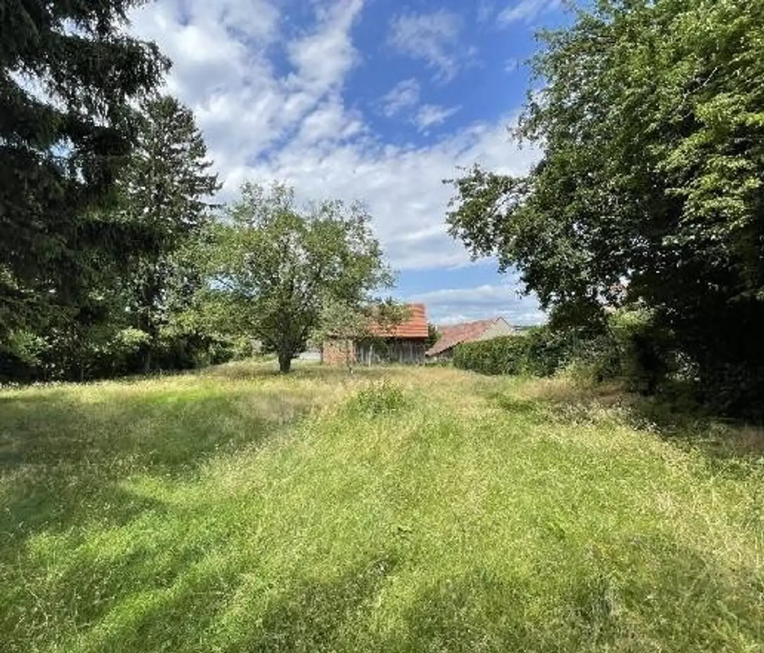 01 Baugrundstück Ollern