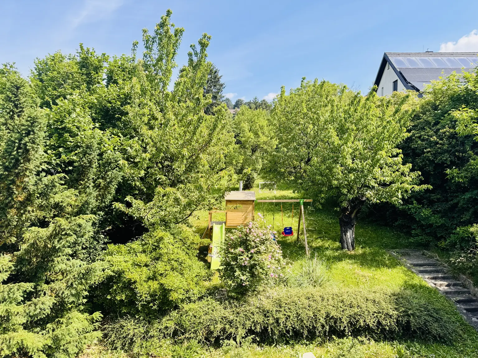 Blick in den Garten