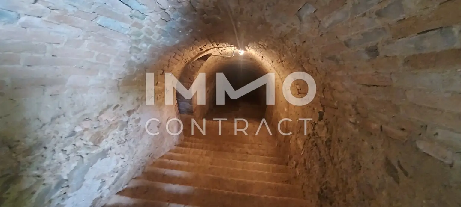 WOHN-UND GESCHÄFTSHAUS AUS DEM 16. JAHRHUNDERT IM HERZEN VON LANGENLOIS 
100 m Kellerröhre, Nebengebäude, Innenhof, Geschäftslokale, usw.