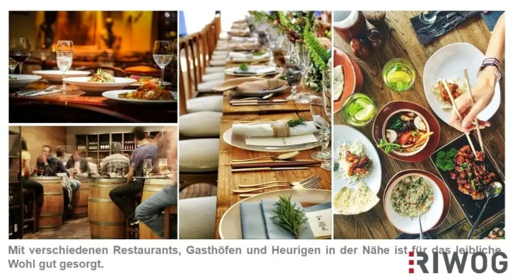 Erstbezug - 3 Zimmer inkl. Eigengarten - Gerasdorf bei Wien