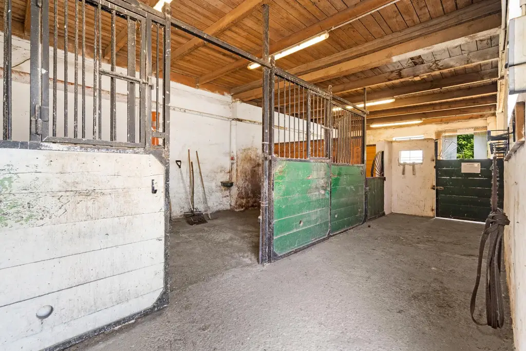 "Großzügiges Grundstück mit Pferdehof und sanierungsbedürftigem Haus – nur Minuten von Wien entfernt"