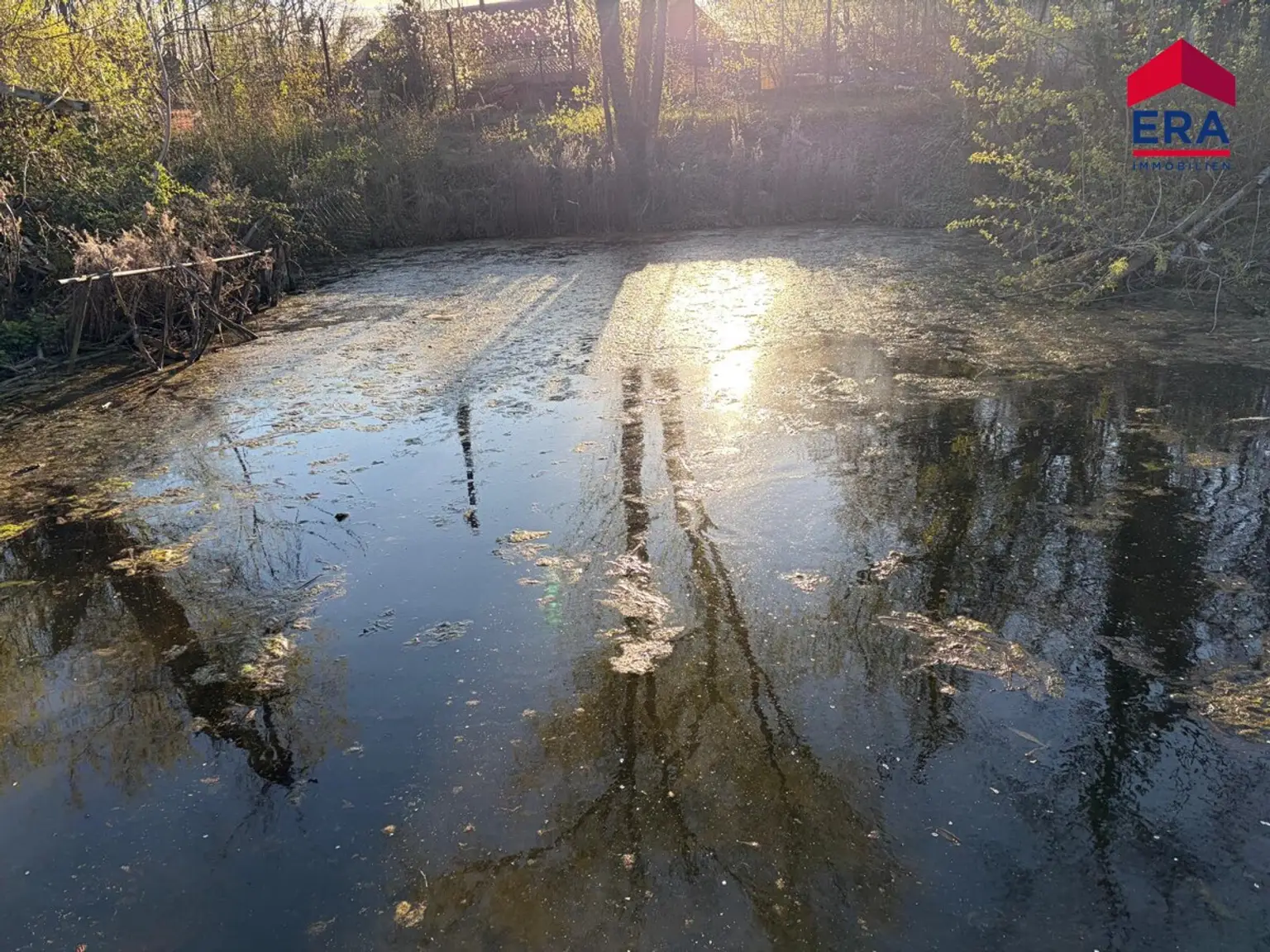 Exklusives Freizeitgrundstück in absoluter Grünruhelage – Natur, Weite & vielfältiges Potenzial in Gaweinstal