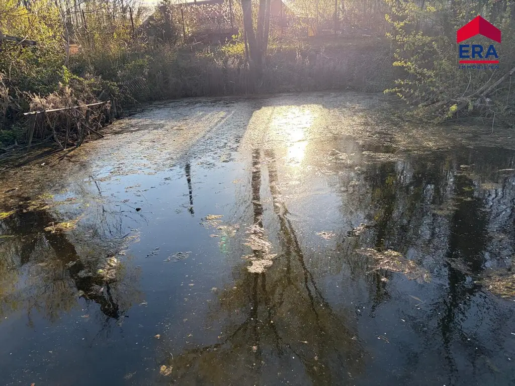 Exklusives Freizeitgrundstück in absoluter Grünruhelage – Natur, Weite & vielfältiges Potenzial in Gaweinstal