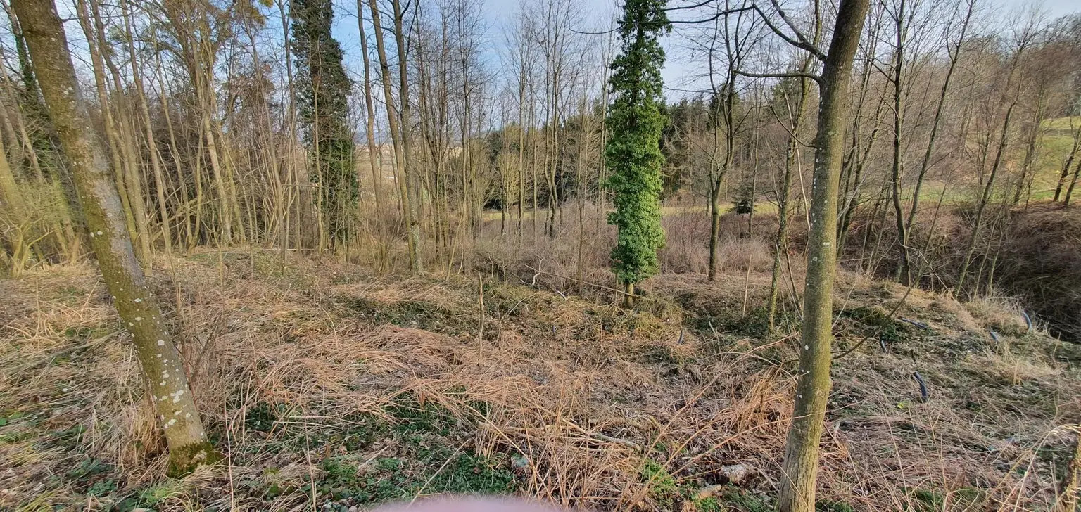 Grundstück