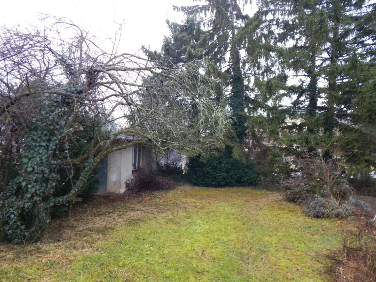 Bastlerhit mit großem Garten - ruhig in einer Sackgasse gelegen