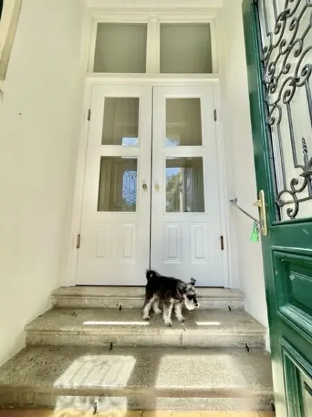 Majestätische VILLA mit 2 separaten WOHNEINHEITEN, Zusatz-Gebäude-ANLEGERWOHNUNG und herrlichen GARTEN-Grünruhe-OASE - absolutes Unikat - BADEN!