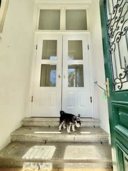 Majestätische VILLA mit 2 separaten WOHNEINHEITEN, Zusatz-Gebäude-ANLEGERWOHNUNG und herrlichen GARTEN-Grünruhe-OASE - absolutes Unikat - BADEN!