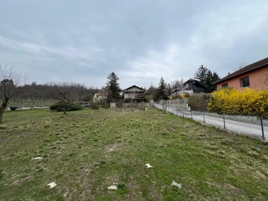 Südseitiger Baugrund in Toplage – sonniges Grundstück mit Fernblick, Potenzial & genehmigtem Bauprojekt