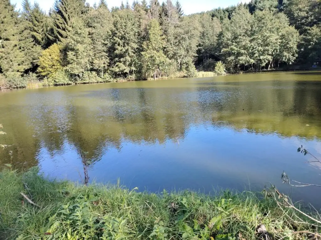 Naturidylle mit Fischteichanlage nahe Stadtschlaining