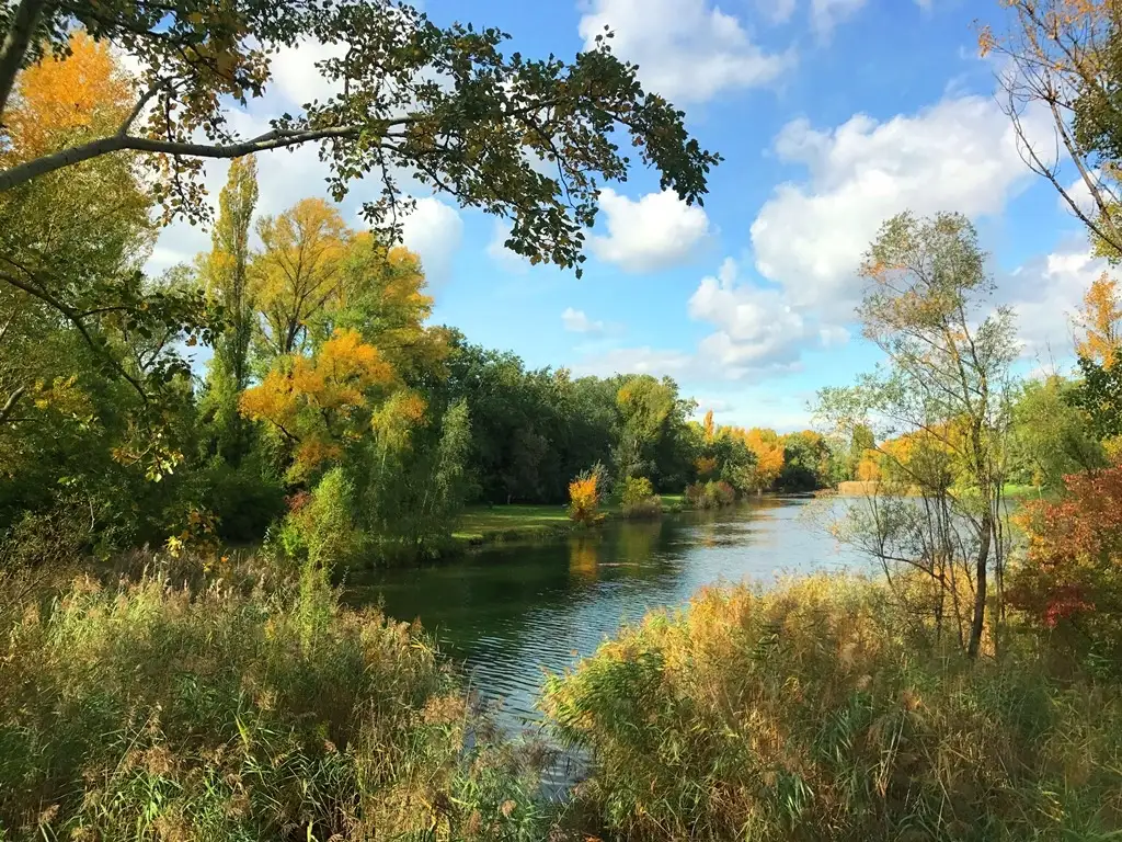 WOHNTRAUM | GRÜNLAGE | RUHIG | PERFEKTE VERKEHRSANBINDUNG