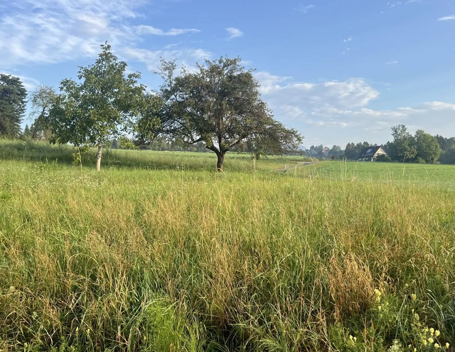 Traumhaftes Sonnengrundstück in St. Peter mit genehmigter Einreichplanung
