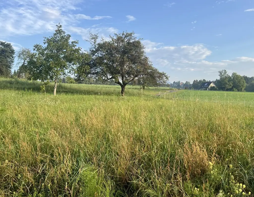 Traumhaftes Sonnengrundstück in St. Peter mit genehmigter Einreichplanung