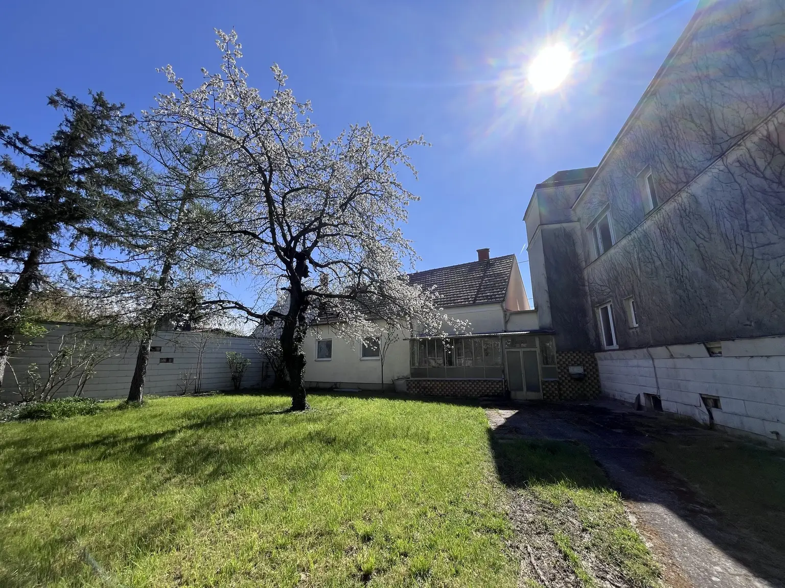 12 Zimmer Haus  mit Geschäftslokal auf 948 m2 Grundstück