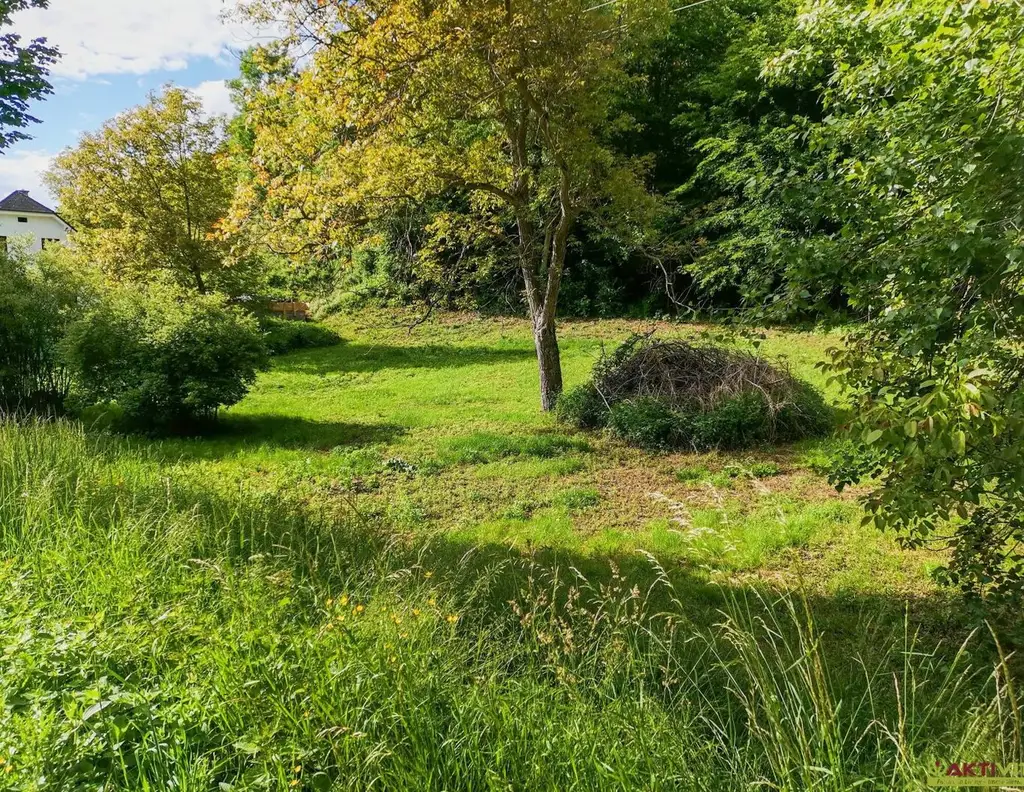 Update! - Freiland Grundstück an der Grazer Stadtgrenze. - Vielfältige Nutzungsmöglichkeiten.
