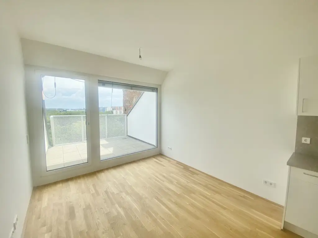 U3  ERSTBEZUG Top Anlage Dachwohnung 2 Zimmer + Terrasse =DAS LAURENZ= 1 bedroom apartment+terrace
