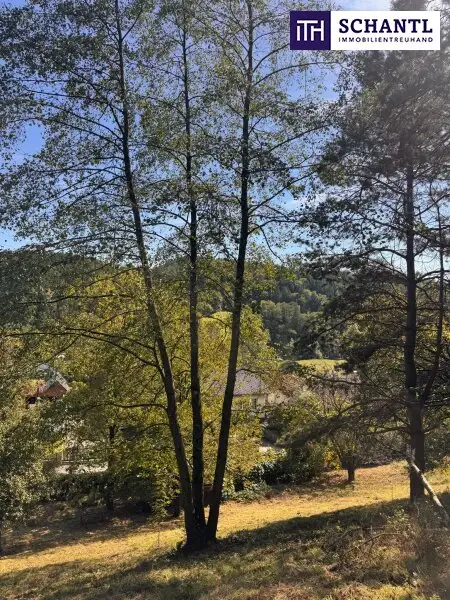 PREISREDUKTION! Attraktiver Baugrund inkl. Bewilligung für Wohnbauprojekt mit 4 Doppelhaushälften! Jetzt Anfragen!