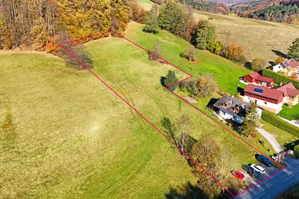 Großzügiges, naturnahes Grundstück in sonniger Ruhelage und mit herrlicher Aussicht