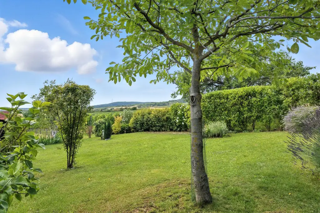 EXKLUSIVER WEINKELLER MIT WEINGARTEN - UNVERBAUBARER AUSBLICK!