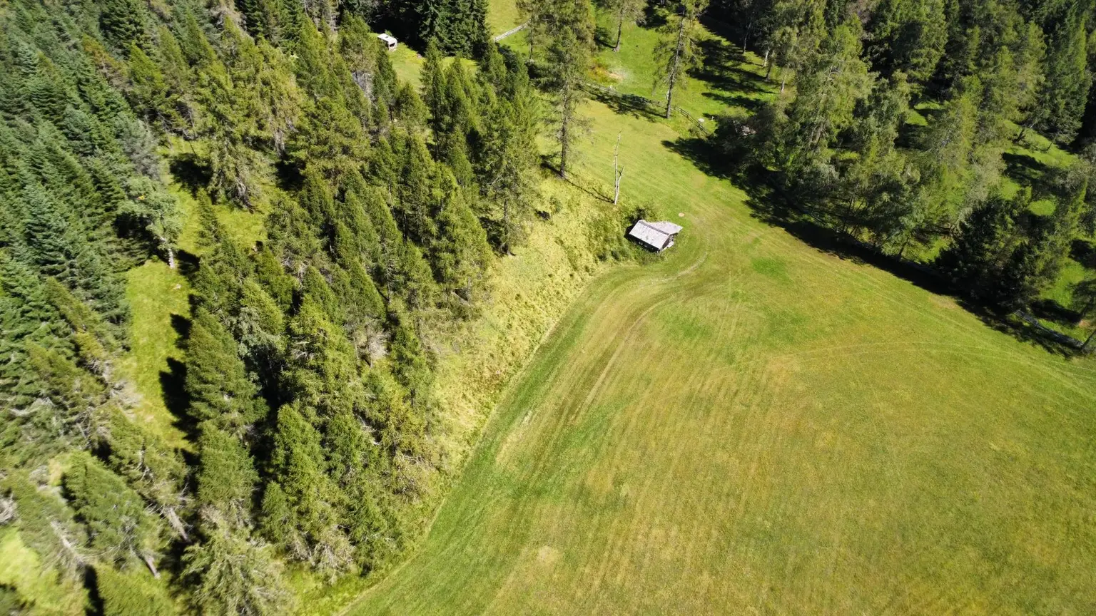 Naturnah investieren: Landwirtschafts- und Waldfläche!