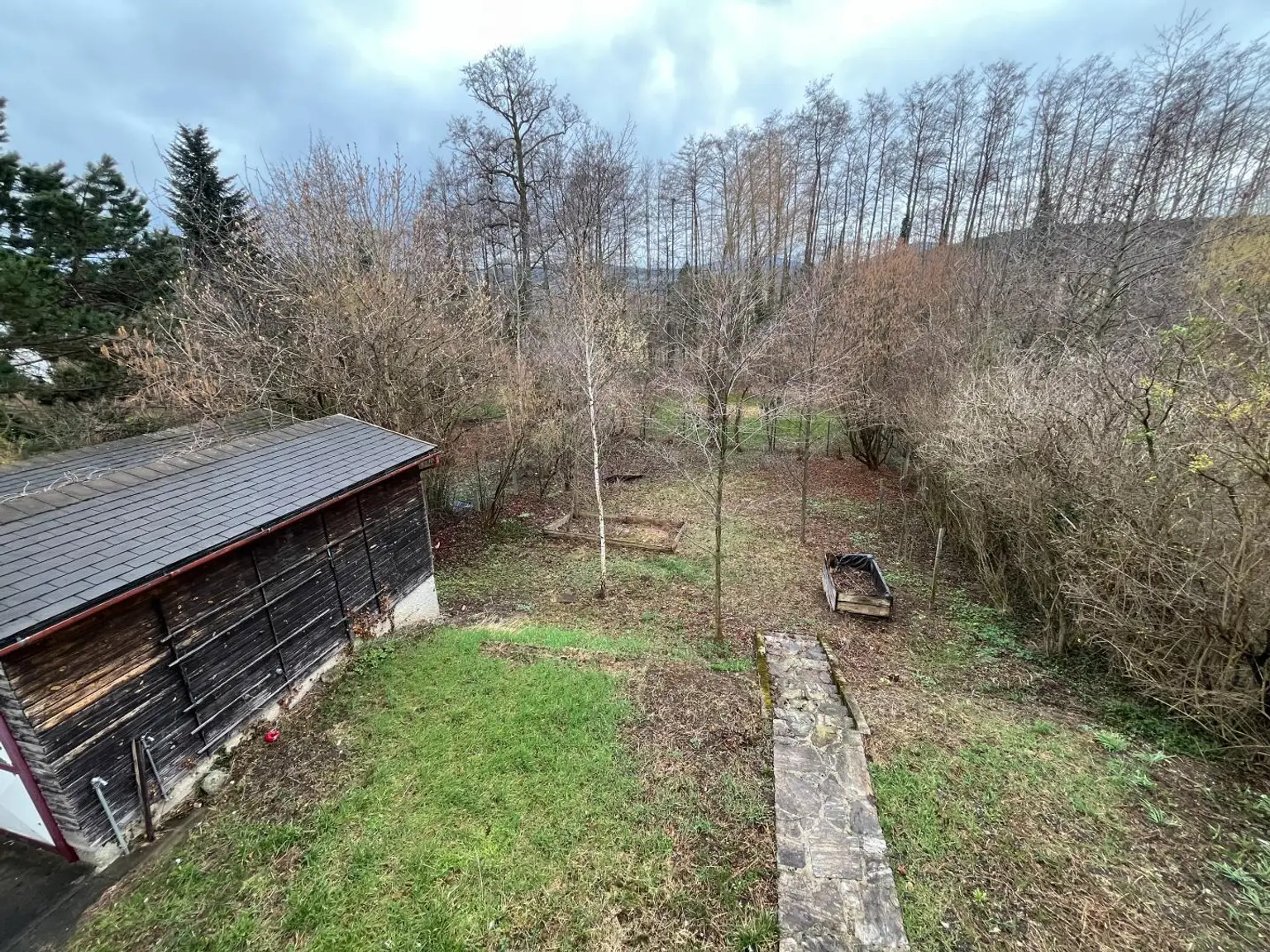 Blick in den Garten