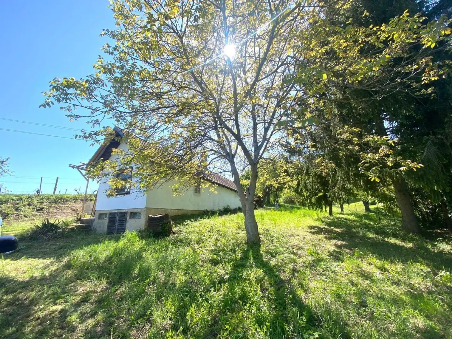 Kellerstöckl und Garten