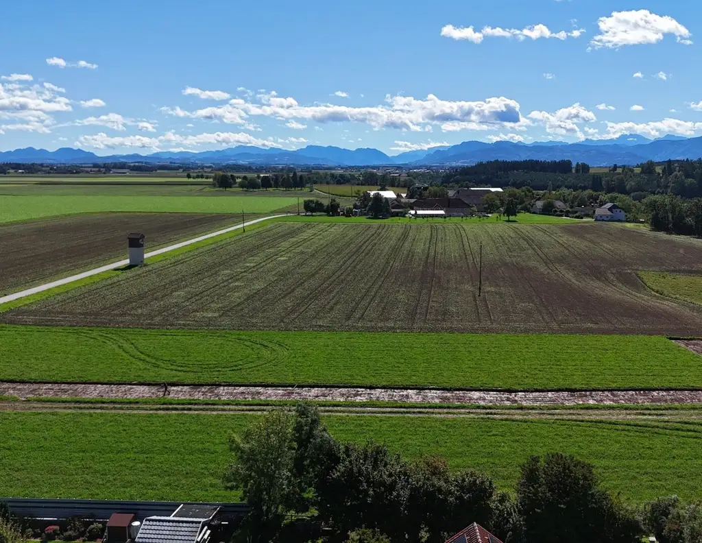 Eben, sonnig, südseitig, top Baugrund in ruhiger Siedlungslage | Steinerkirchen Frohnhofen | GST-Nr. 1102/9