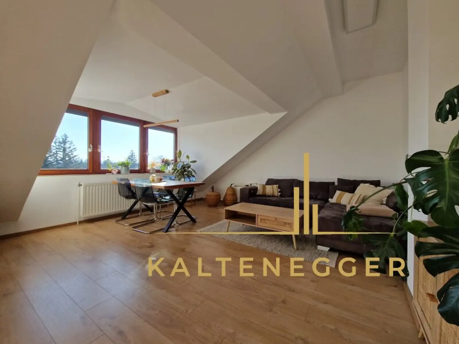 Wohnraum ca. 26 m² WNFL