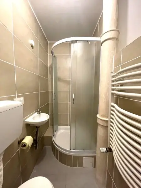 Altbaucharme - neu sanierte 1-Zimmer Wohnung mit möglichen Balkon - Nähe Landstraße