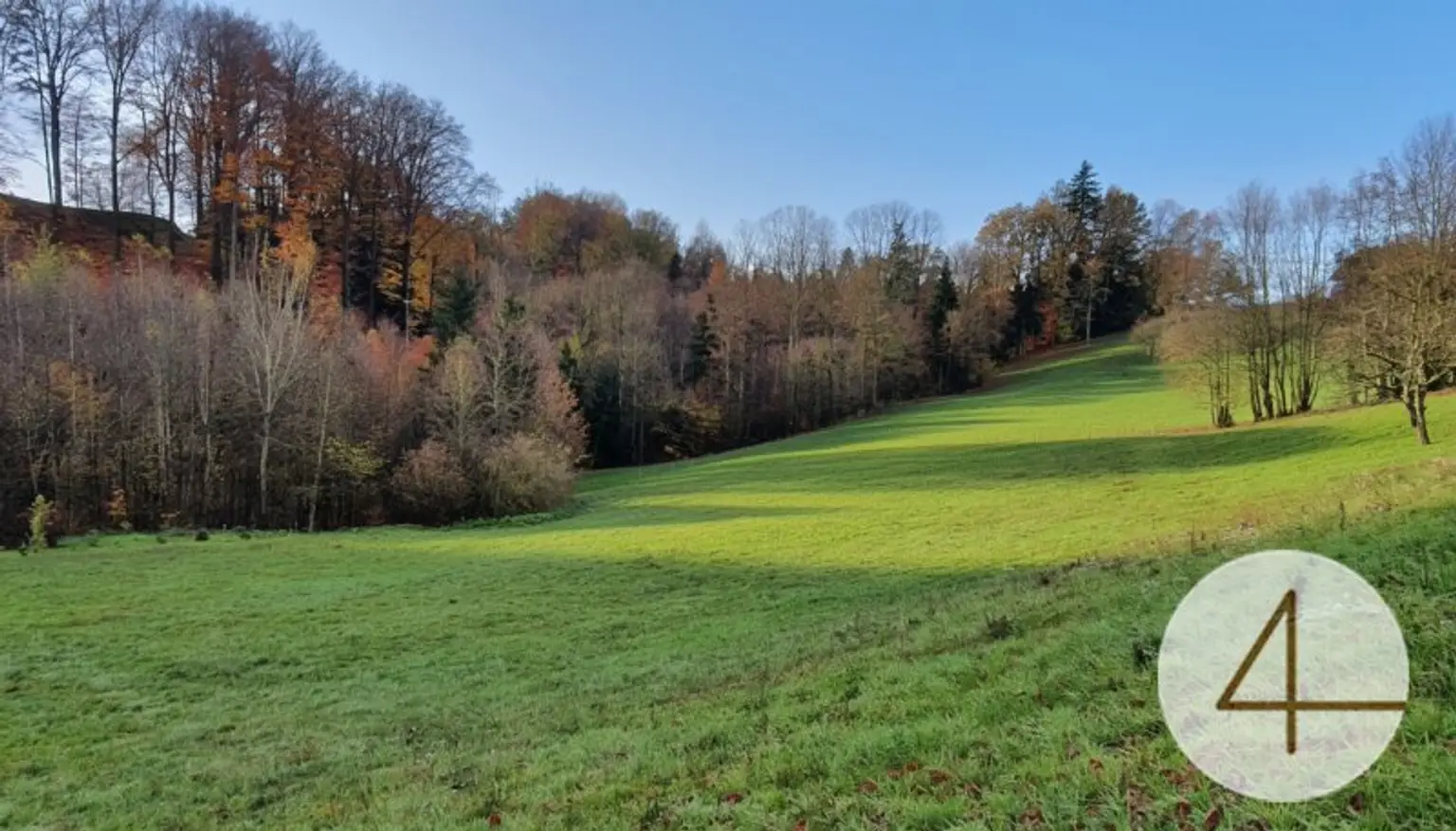 Zweifamilien-Haus mit 1,7 ha landwirtschaftlicher Nutzfläche und Quellwasser