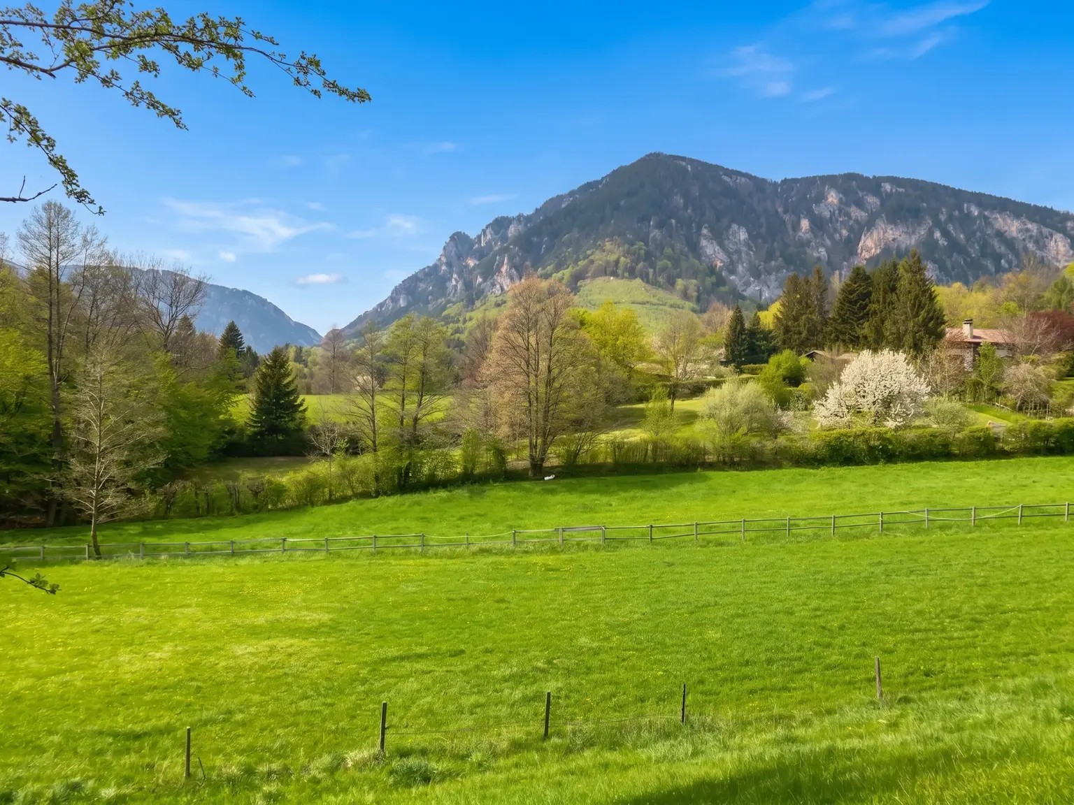 Ausblick