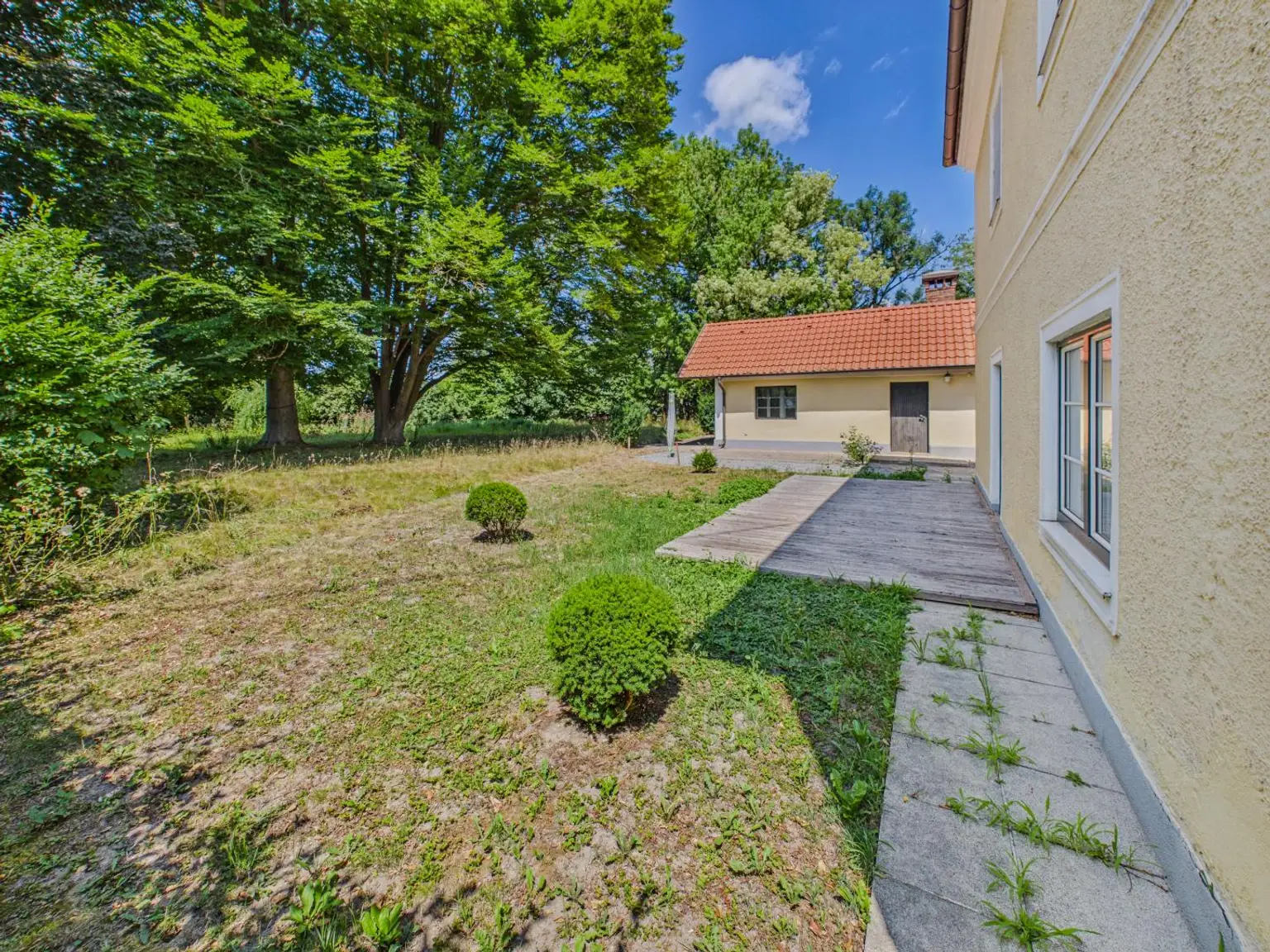 Gartenfoto 3