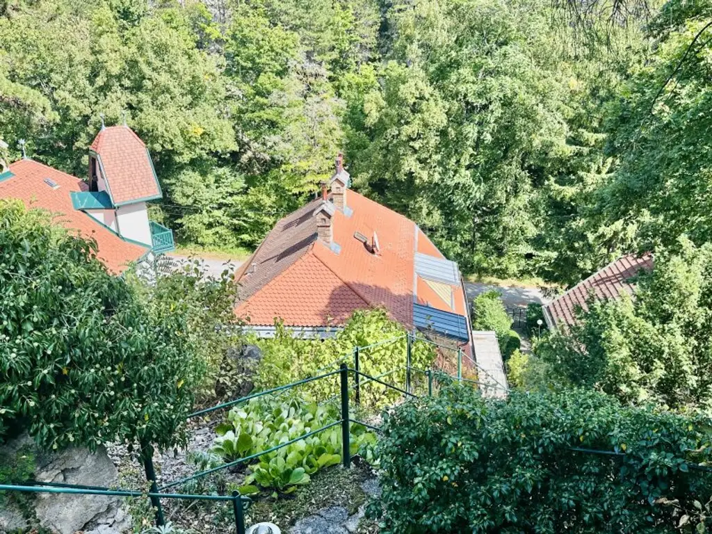 Jagdvilla aus 1910 - vollrenoviert - Top Ruhelage  -10 Minuten zu Fuß in die Innenstadt von Baden