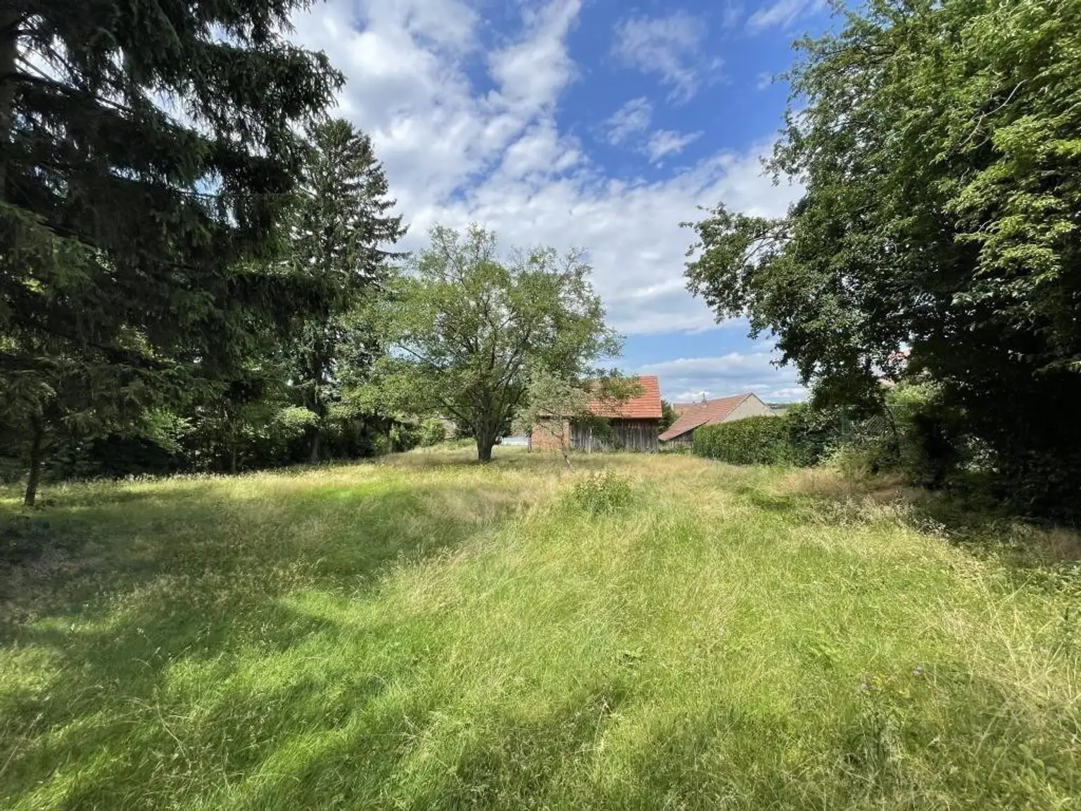 01 Baugrundstück Ollern