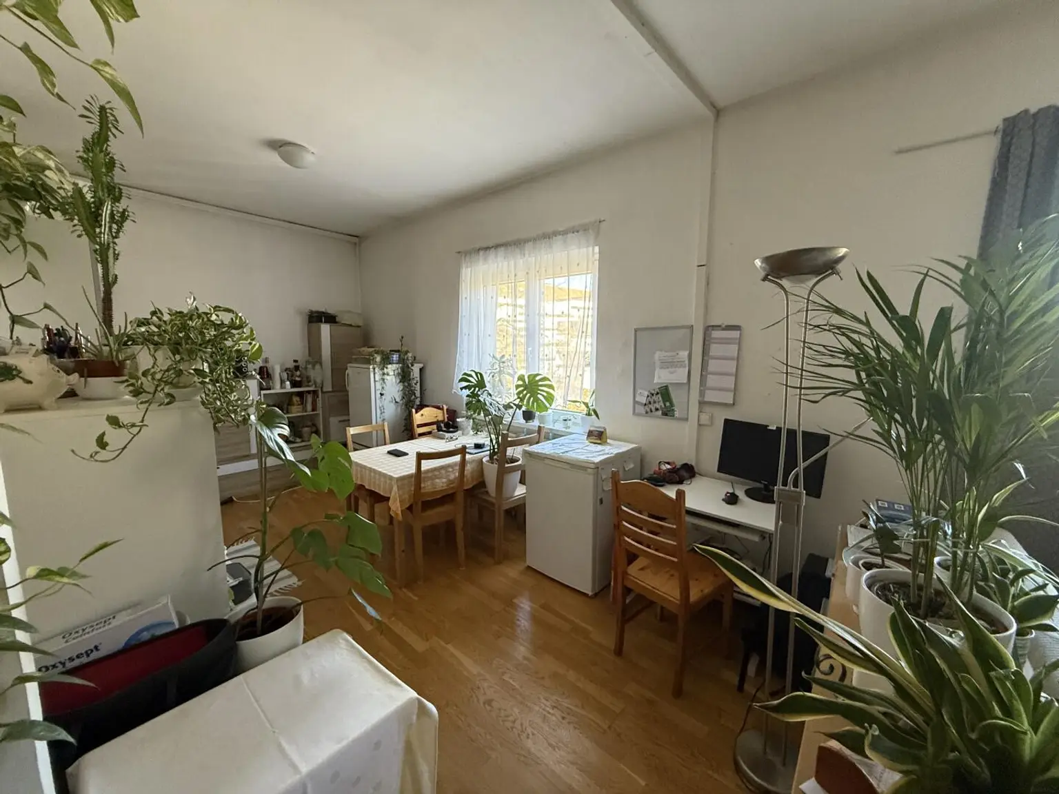 Prov-Frei - Dreihackengasse, nette Großgarconniere inkl. Küche zu vermieten nach Absprache