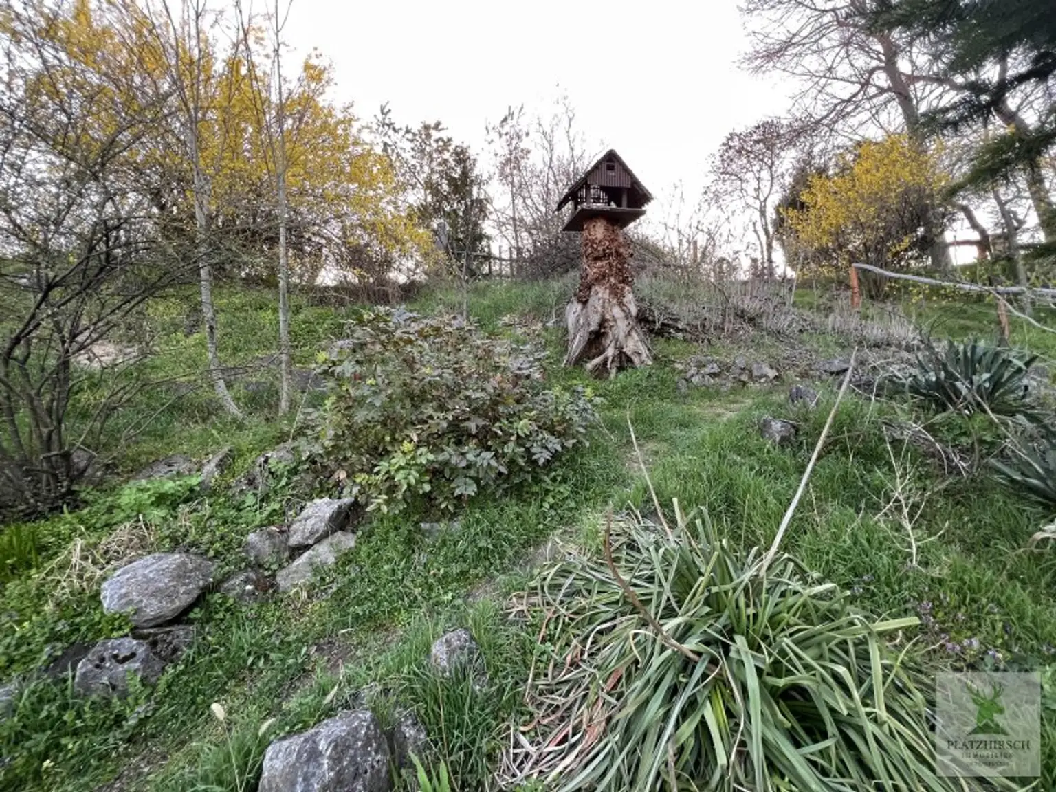 Einzigartiges Liebhaberobjekt mit toskanischem Flair, riesigem Garten, herrlichem Wintergarten, in Prottes - 35 Min von Wien - 8 Minuten von Gänserndorf