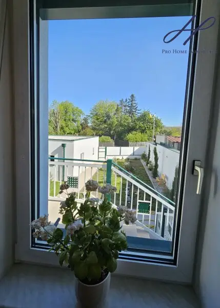 Blick in den Garten