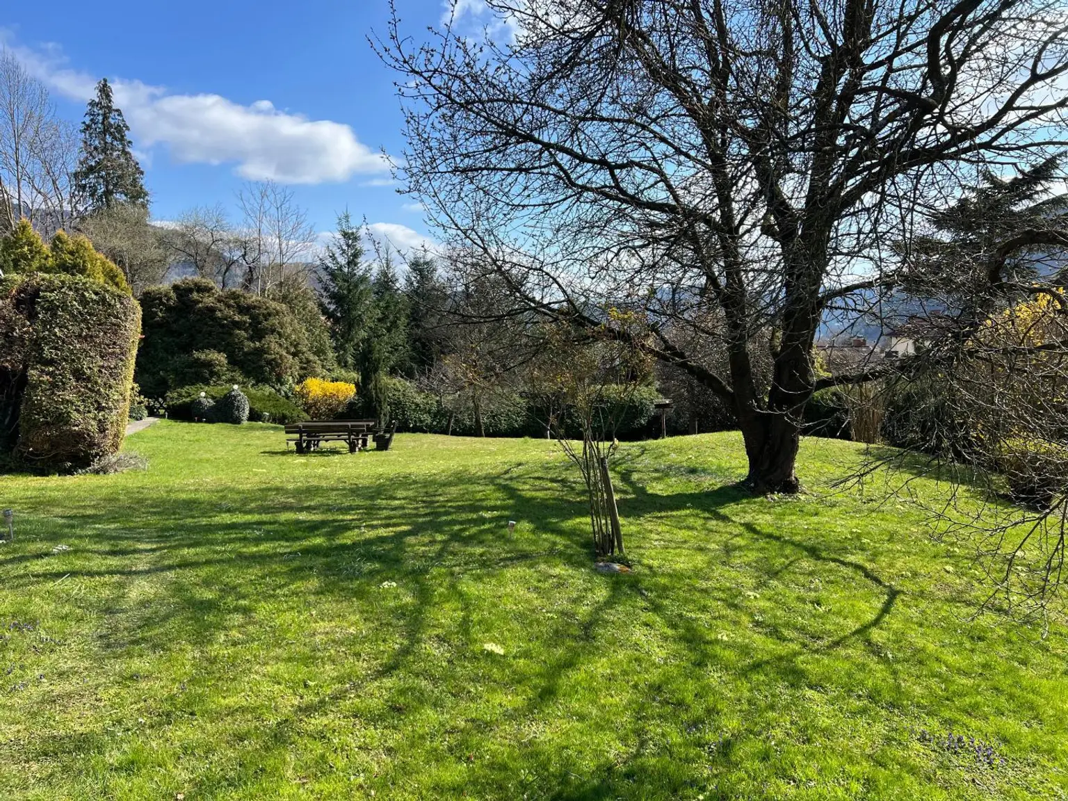 Garten