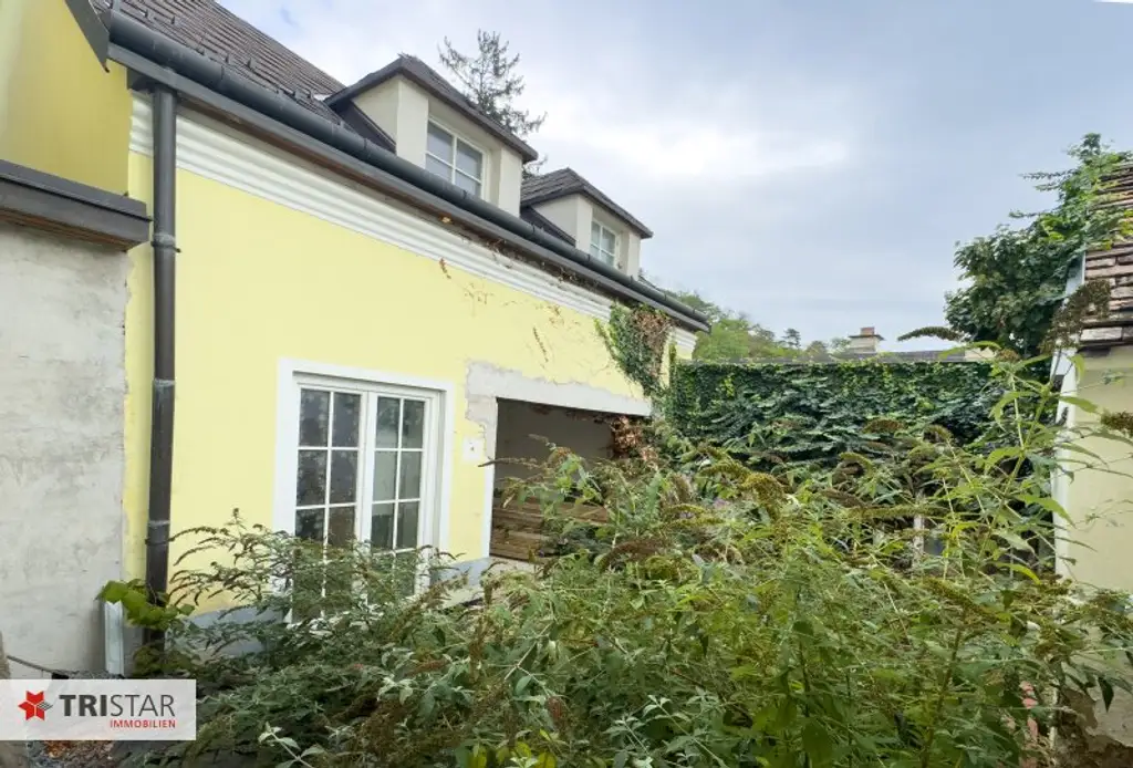 Bestlage Döbling · Zwei großzügige Wohnungen oder das komplette Haus als Einheit · Cottageviertel !
