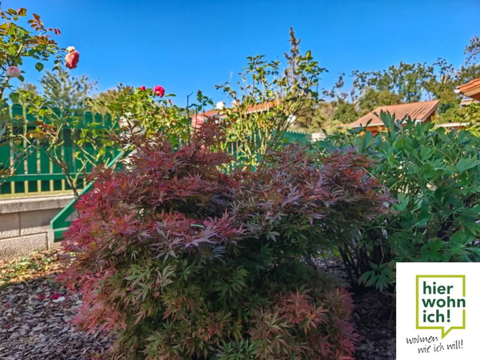 Top Preis: Familientraum in Teesdorf mit Balkon, Terrasse Garten und Carport