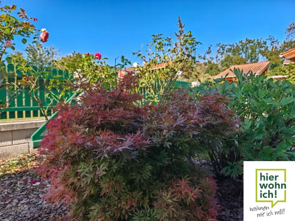 Top Preis: Familientraum in Teesdorf mit Balkon, Terrasse Garten und Carport