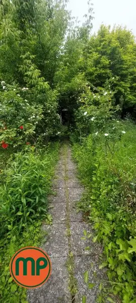 Baugrundstück im 22. Bezirk- U-Bahn-Nähe inklusive!