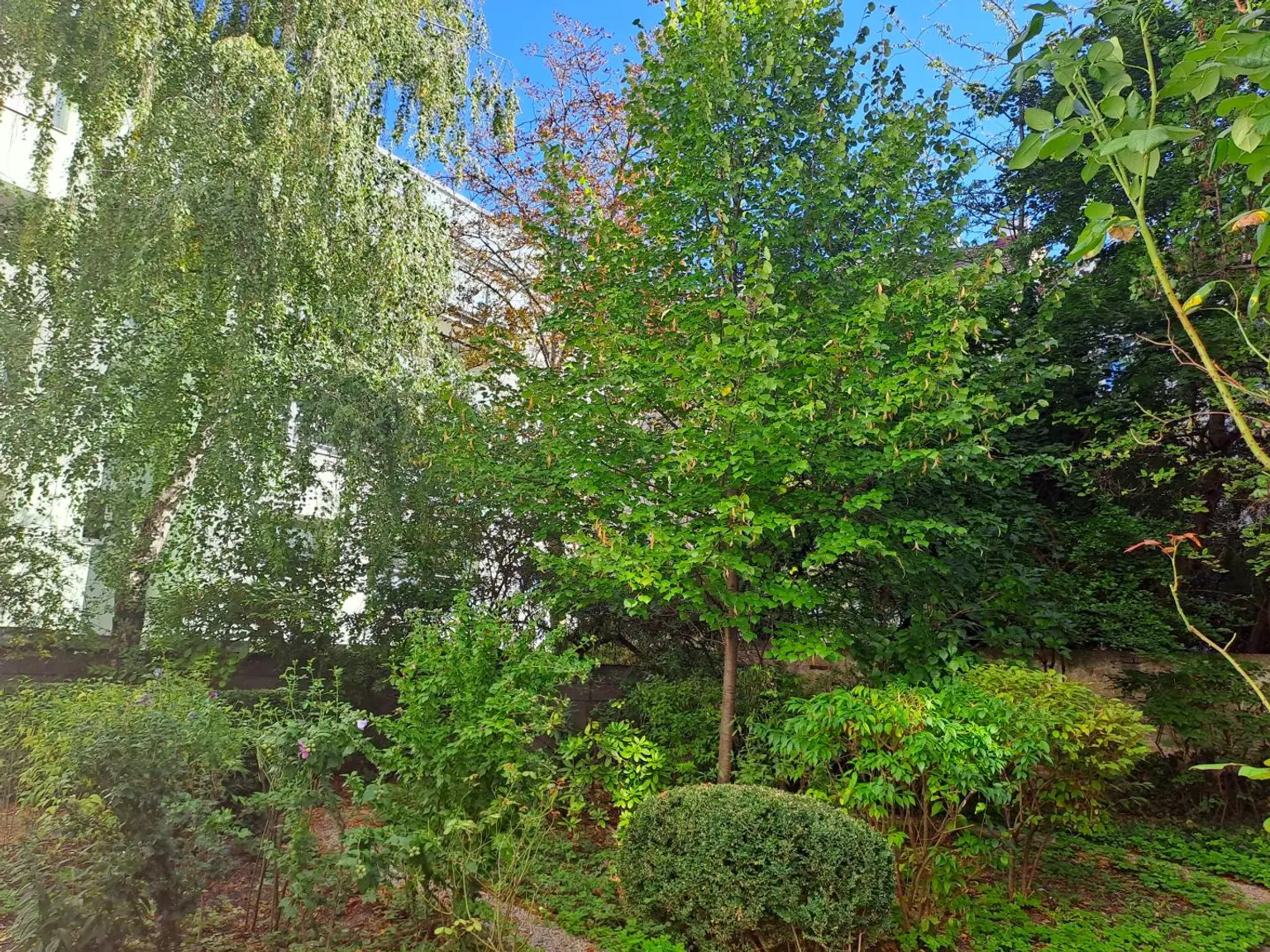 Gemeinschaftsgarten