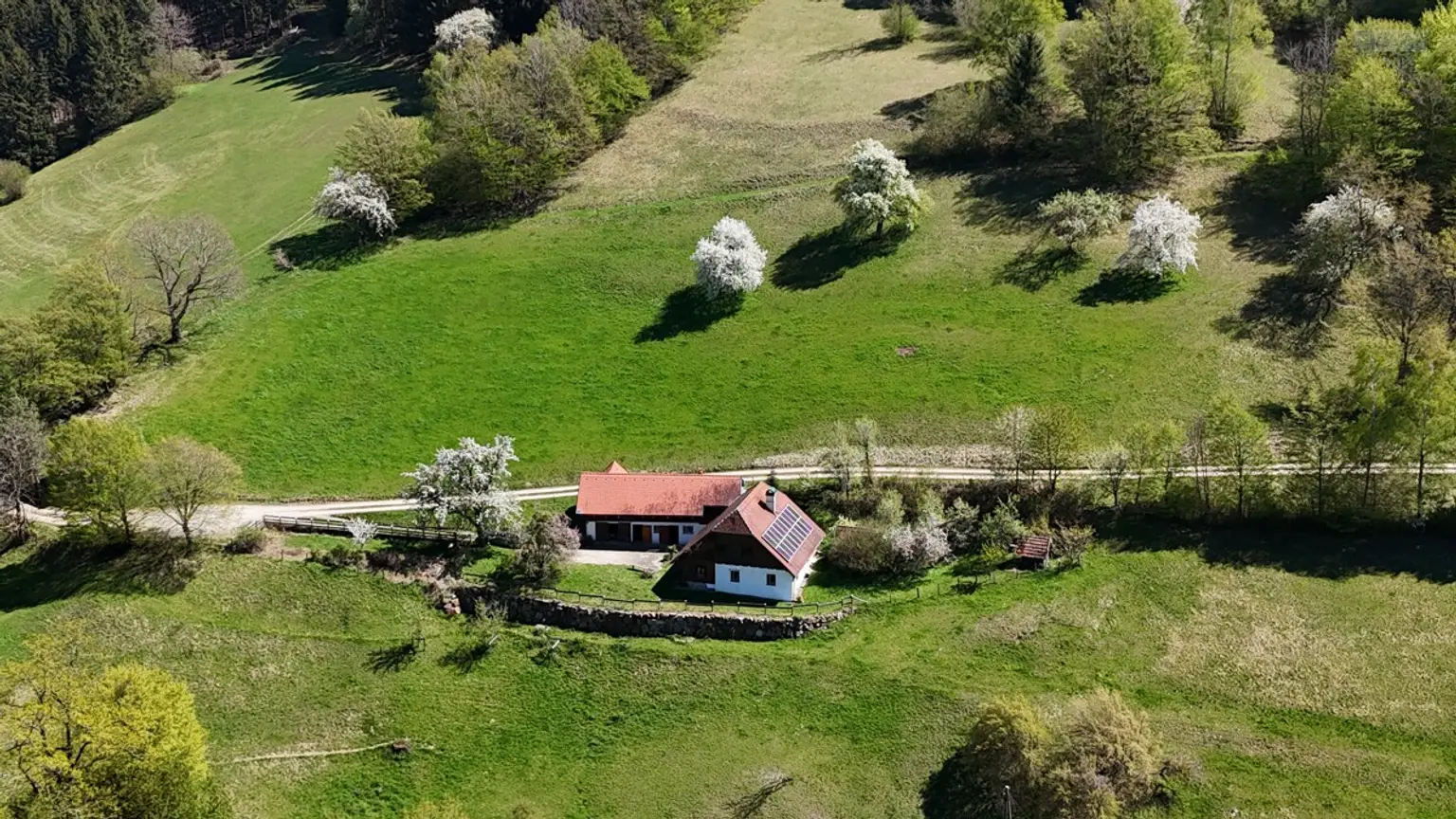 Blick von oben